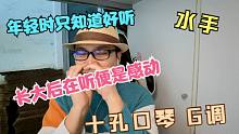 【口琴】水手 口琴版 年少时觉得好听 长大后听着感动