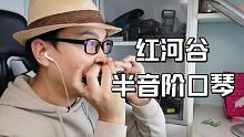 【半音阶口琴】简单又好听的红河谷  用琴 先行者 演奏者