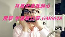 【半音阶口琴】 月亮代表我的心  用琴GM 0648