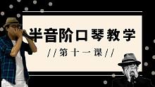 【2020半音阶口琴教学】 第十一课 半音阶口琴推键装饰音