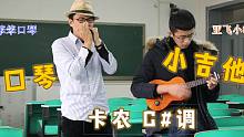 十孔paddy口琴+ukulele 卡农