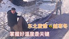 零下30度东北农村，人冻的都受不了，蜜蜂如何抵御寒冬？