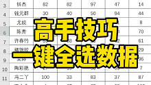 Excel高手技巧，一键全选数据