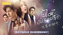 泰剧《吹落的树叶》正式版预告@天府泰剧 6月11日起每周一周二播出