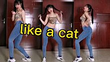 【爱跳舞的cc君】like a cat 爵士编舞（高清版）