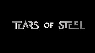 【科幻微电影】钢铁之泪/Tears of Steel（2012）【简体中文字幕】