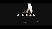 【MV/CC中文字幕】The Cat’s Whiskers /「4 REAL」 -Paradox L