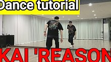 【KAI金钟仁 - Reason】副歌舞蹈分解教程 镜面