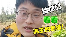 你们总说我是海王！我今天就给你们看看我的鱼塘！
