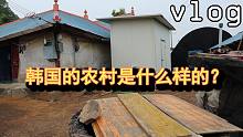 【vlog】今天我去了奶奶家，韩国的农村是什么样的？