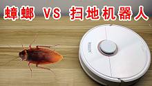 当蟑螂遇到扫地机器人！又一个灭蟑螂神器诞生了！