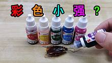 如果给蟑螂吃点食用色素，真的会变成彩色小强吗？