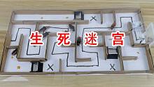 蟑螂走生死迷宫！走错一步悔一生！