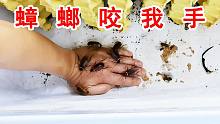【沙雕行为】我被蟑螂围攻咬手！好刺激！
