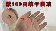 被100只蚊子围攻是什么感觉？为了测试驱蚊液效果拼了！