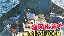 渔网被垃圾撕扯两大截，补网后花4小时拉鱼，这网算下来到手2000