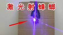 高科技灭蟑螂！用激光武器照射蟑螂会怎么样？