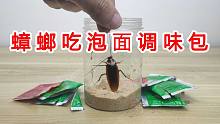 给蟑螂吃泡面调味包会怎么样？万万没想到如此重口味！