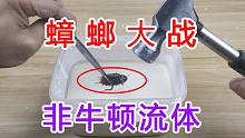 蟑螂大战非牛顿流体！