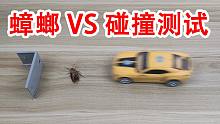 蟑螂VS汽车碰撞测试，顺便鄙视一下大众帕萨特！