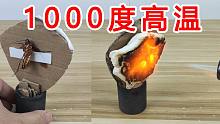 “烤面筋”能抵御住1000度高温？蟑螂的耐高温测试！