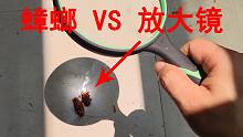 用“放大镜”把太阳光聚焦到“小强”身上，能不能点燃蟑螂？