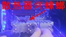 把蟑螂放到CPU散热器上单烤FPU会怎么样？能把小强烤熟吗？