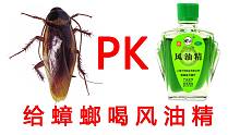给蟑螂喝风油精，提神醒脑还是昏昏欲睡？前方高能！