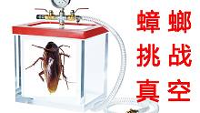 惊奇！蟑螂真的能在真空中存活24小时吗？结果出乎你的意料！