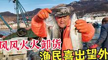 渔民捕鱼归来喜出望外，码头卸鱼风风火火，这季节收获了哪些鱼？