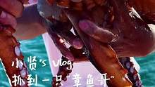 据船长说这里的海鲜格外多！#贤式vlog 