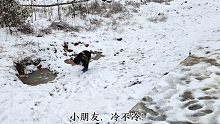已经十几年没下雪的湖南，突然飘起了鹅毛大雪！
