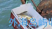 外海岛屿收渔网好货爆棚，其中2条鱼就能卖1000，值钱货扎堆发财了（上）#乡村新景象 #新农人计划