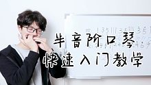 半音阶口琴快速入门零基础教学(音阶与单音)