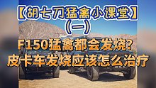 【胡七刀猛禽小课堂】F150猛禽都会发烧？皮卡车发烧应该怎么治疗？