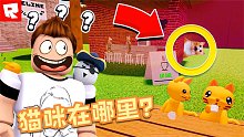 Roblox猫的旅行：猫咪越来越难找了！有眼尖的小伙伴来一起找吗？