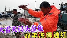 渔码头大雪飘飘，老海这次又卸什么好货？一群人盘鱼盘得满手通红