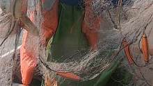 来叔出海收网遇到虾群，一连串拉起十几条肥硕大虾，这种挺值钱的（下）