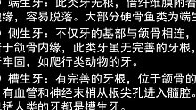 2021年考研 口腔综合352 口腔解剖生理学