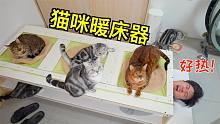 自制猫咪强制暖床器，零度的天把我热醒了！