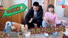 晴宝爸爸给狗狗买二十斤狗粮，还没吃就呛住，急的赶紧倒酸奶和水
