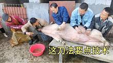 湘北网红杀猪佬 9岁拜师学艺技术过硬 一看就是学到了真功夫的