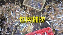 白浪靓女包船出海捕捞，大家看包这一网划算吗