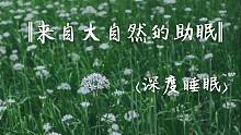 深度睡眠 | 在下着雨的乡间聆听大自然的声音☆