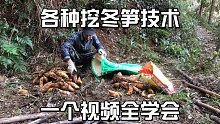 大叔把全部挖术技术毫无保留了全部告诉你，让你一天挖几十上百斤