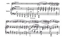 【长笛与钢琴】夏米娜德－D大调长笛小协奏曲 Op.107