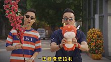 全新贺岁MV上线，恭祝大家牛年大吉~
