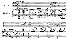 【小提琴，大提琴与钢琴】肖邦－g小调钢琴三重奏 Op.8
