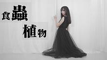 【沐雨】食虫植物 ★ 请不要离开我啊