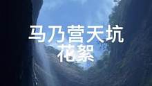 井底之蛙视角#马乃营天坑 #治愈系风景 #视觉震撼 #瀑布 #保持热爱奔赴山海
